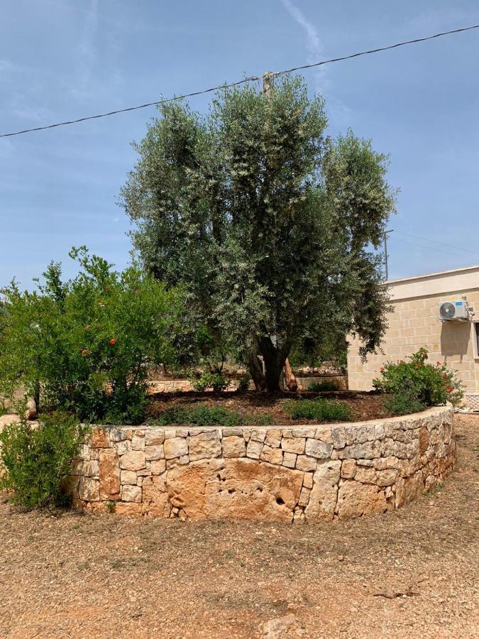 Il Trullo Di Francesca Βίλα Ceglie Messapica Εξωτερικό φωτογραφία