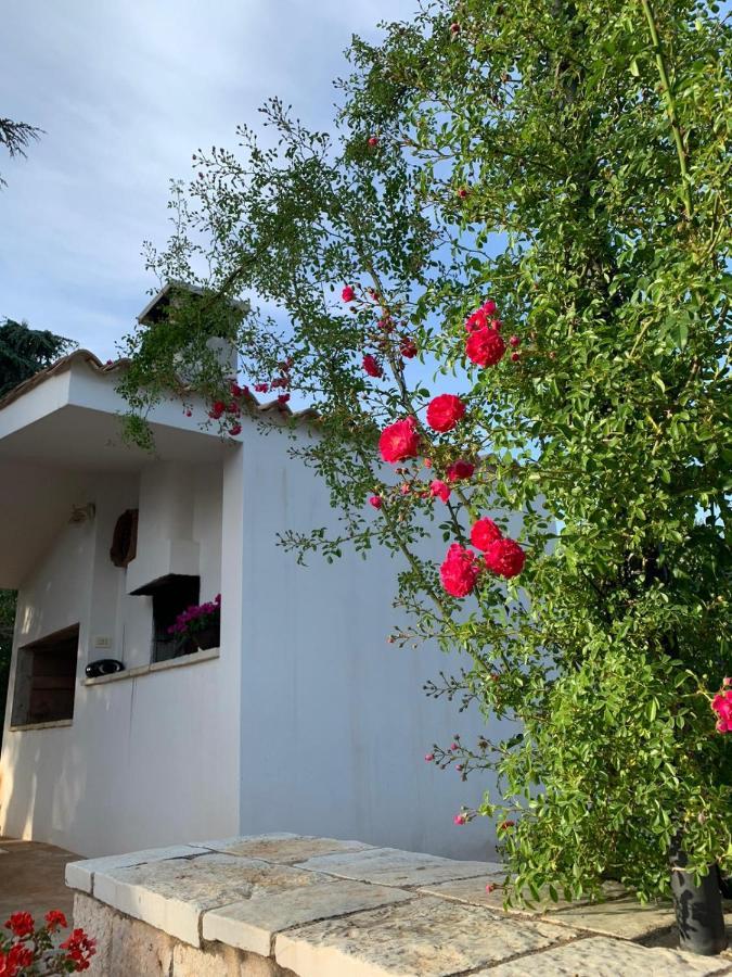 Il Trullo Di Francesca Βίλα Ceglie Messapica Εξωτερικό φωτογραφία